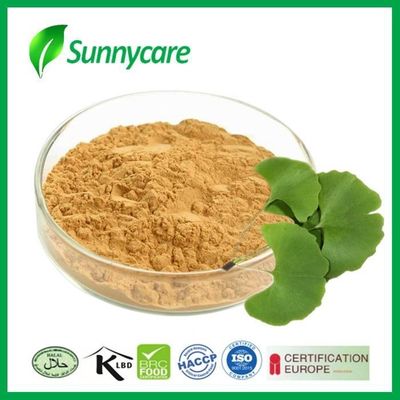 24% Flavones 6% Lactones Plant Herbal Extract Water Soluble Ginkgo Biloba Leaf Extract Powder