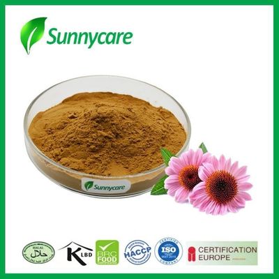 Water Soluble Echinacea Purpurea Extract Powder 4% Polyphenol 4% Chicory Acid