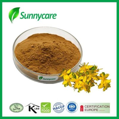 St. John's Wort Extract Powder UV 0.3% Hypericins Hyperforin Supplement Cas 548-04-9