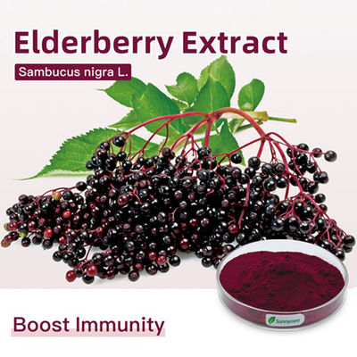 Elderberry Extract Powder Polyphenols 30% UV Elderberry Juice Powder Sambucus Nigra L