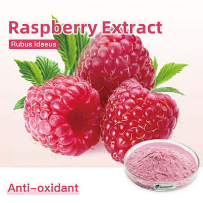HPLC Raspberry Fruit Juice Powder Ketones 5% Rubus Idaeus Fruit Extract