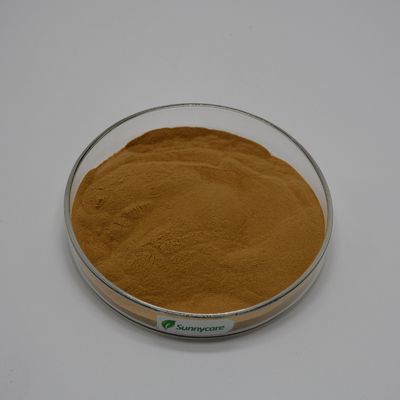Lion's Mane Extract Hericium erinaceus Brown Powder 4:1 TLC Polysaccharides 20% UV Kosher Halal ISO9001