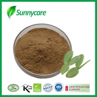 Cactus Extract Opuntia Dillenii Haw Stem 10:1 2% Flavones Metabolic Support Digestive Health