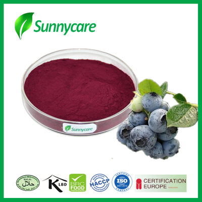 European Bilberry Fruit Extract Anthocyanins 25% / 36% UV / HPLC