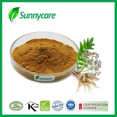 Food Grade Valeriana Officinalis Extract Valerianic Acid 0.3% 0.8% Valerian Root Powder