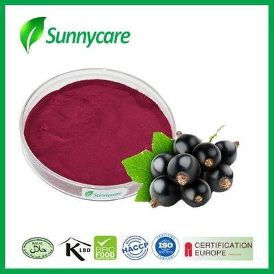 Anthocyanidins 25% Black Currant Fruit Extract Juice Powder Ribes Nigrum L.