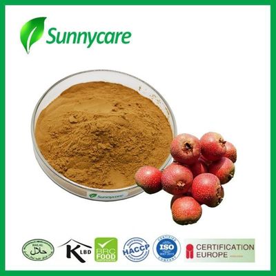 Eawthorn Plant Extract Powder Vitexin 5% Flavones 5% Hawthorn Leaf Extract