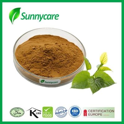 Leaf Plant Herbal Extract 1% 2% 5% 1-Deoxynojirimycin Mulberry Leaf Extract Powder