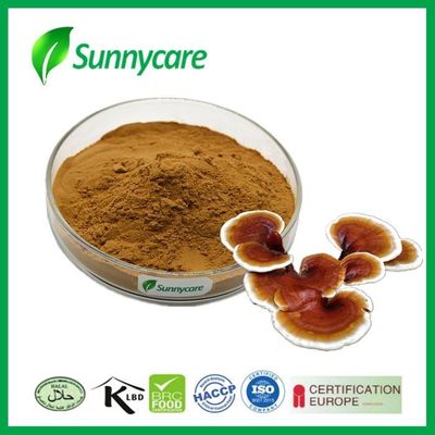 Ganoderma Lucidum Reishi Mushroom Extract Powder 20% 50% Polysaccharides