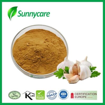 CAS 539-86-6 Garlic Extract Powder Allicin 1% - 5% Allium Sativum L