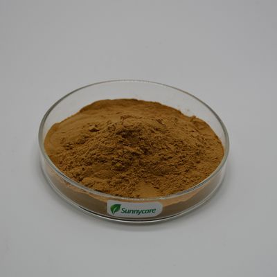 Lion's Mane Extract Hericium erinaceus Brown Powder 4:1 TLC Polysaccharides 20% UV Kosher Halal ISO9001