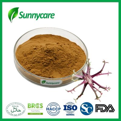 Devil's Claw Root Extract Cosmetic Raw Materials 1% 5% Harpagoside UV HPLC