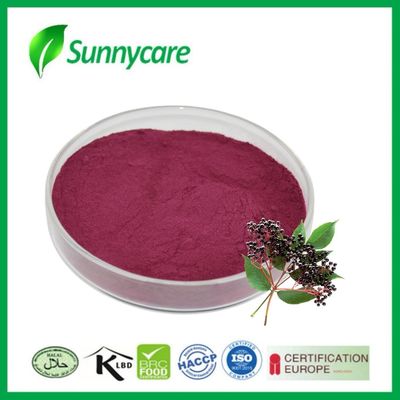 Elderberry-Extrakt-Saftpulver Sambucus nigra Naturfarbstoff für Lebensmittel und Getränke