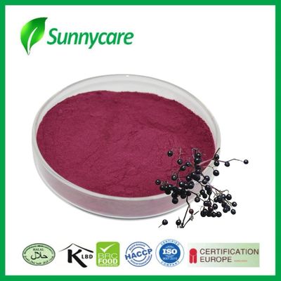 Black Elderberry Extrakt Pulver aus Sambucus nigra für Immunität und Vitalität