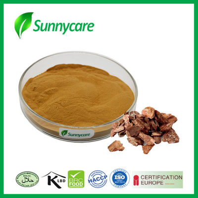 95% Procyanidine OPC 95% Pine Bark Extract Powder Pinus Massoniana Lamb