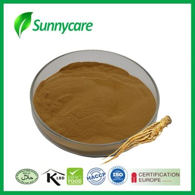 Dong Quai Wurzelextrakt Pulver Angelica sinensis Menstruationshilfe Pharmaindustrie